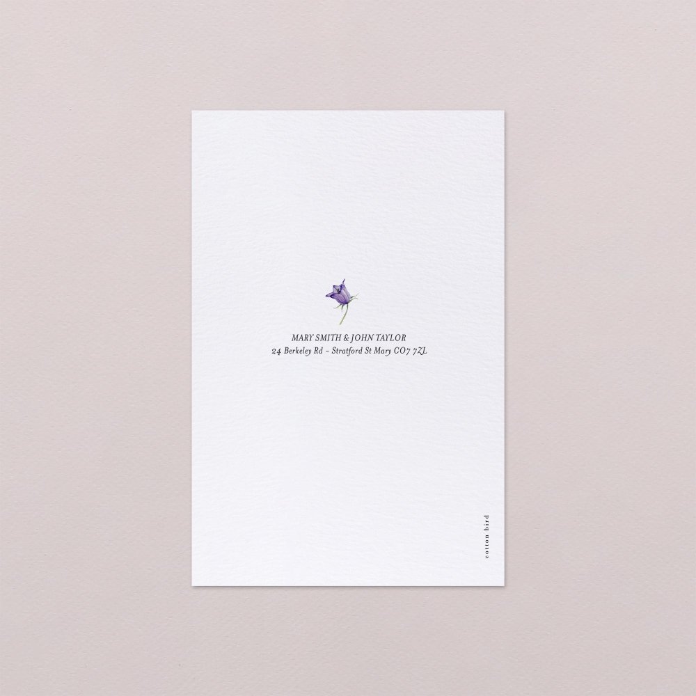 Violetta