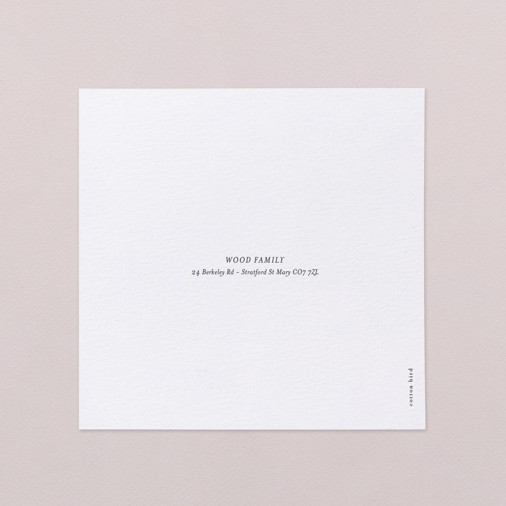 Precious year - Snow