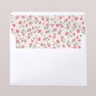 Envelope liners