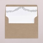 Envelope liners