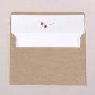 Envelope liners