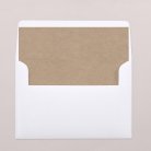 Envelope liners